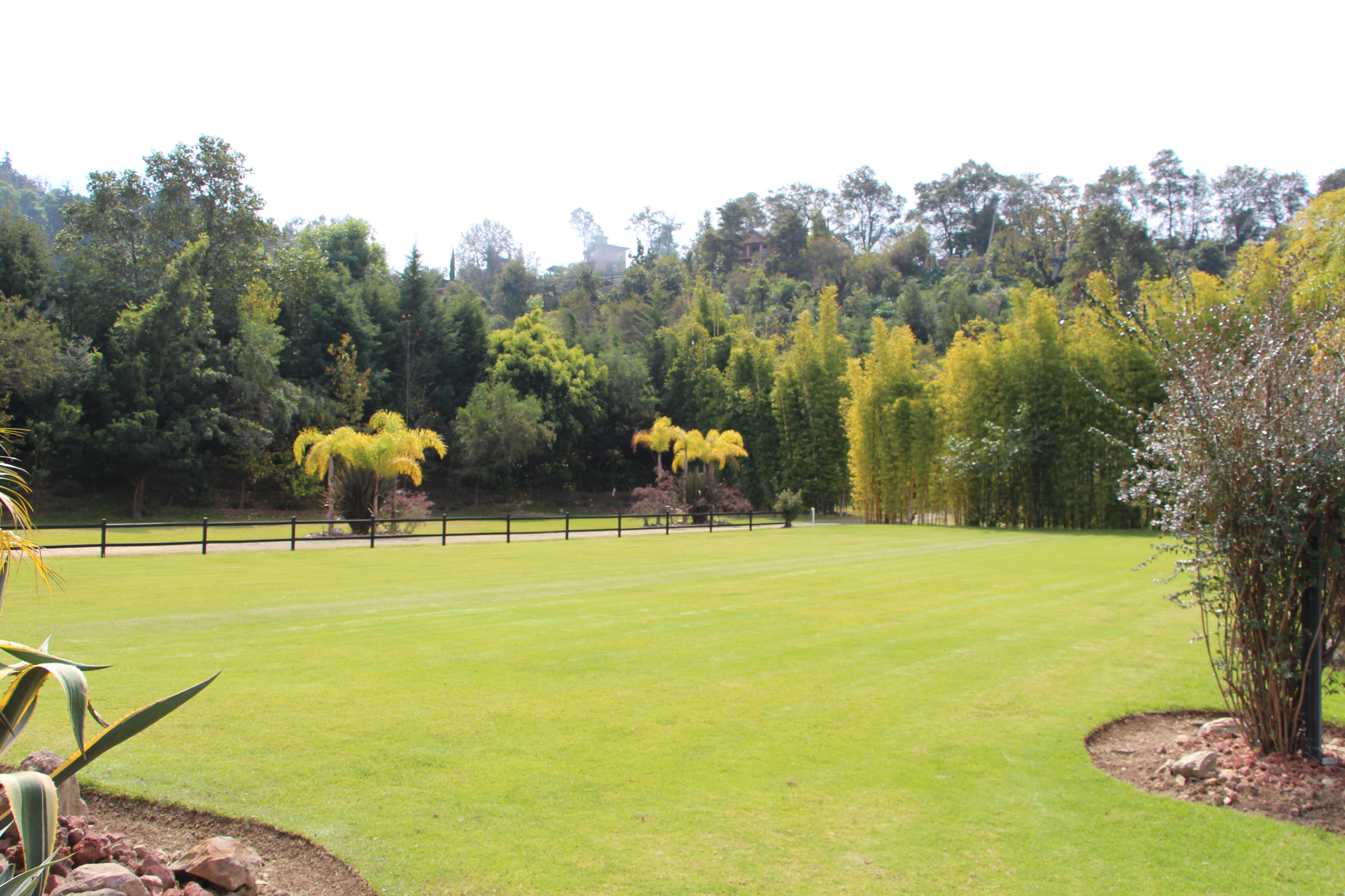 Decoración floral en evento al aire libre