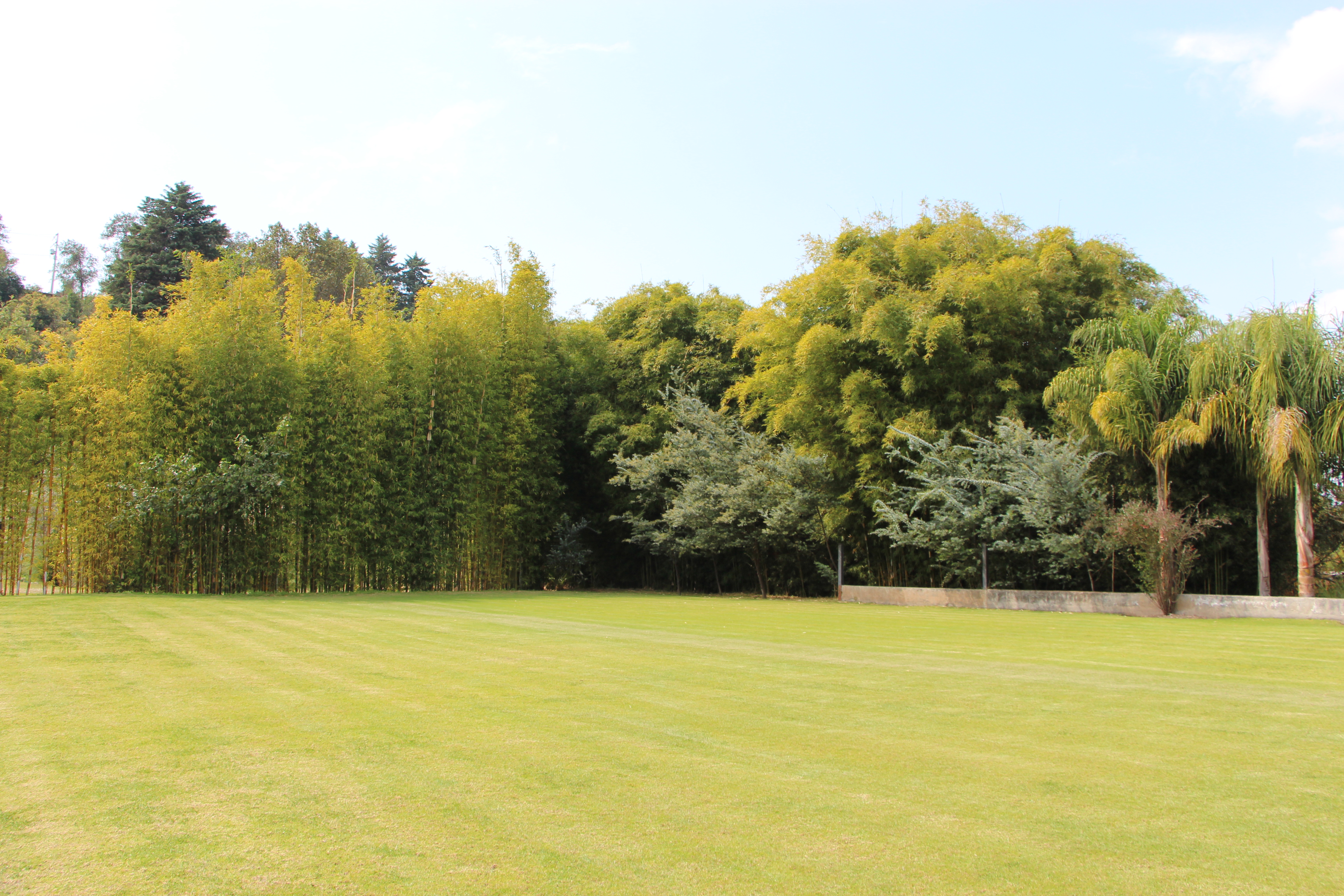 Espacio lounge en el jardín